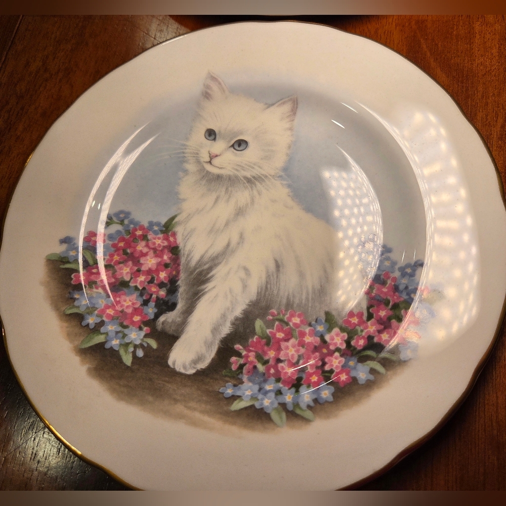 Vintage Crown Trent Fine Bone China Kitten Plate